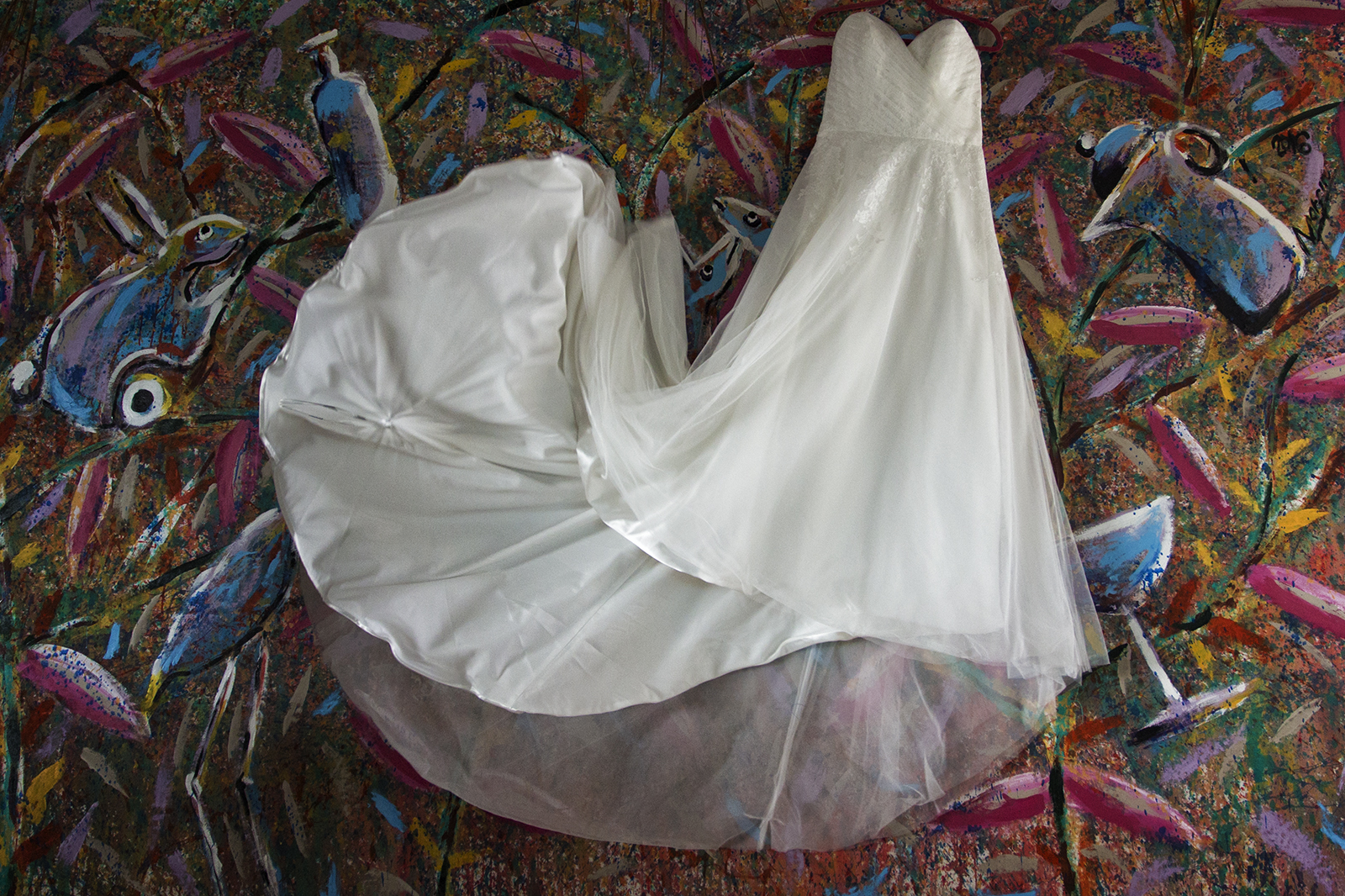 Eli &amp; Daniel Baja resolución 01